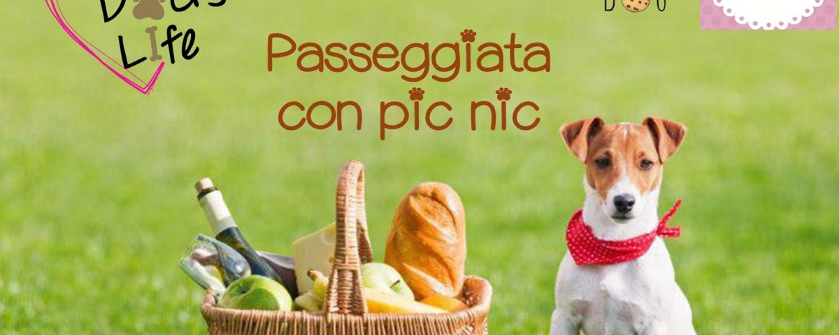 passeggiata con picninc