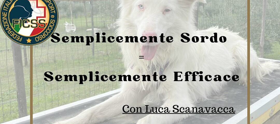 Semplicemente Sordo = Semplicemente Efficace di Luca Scanavacca