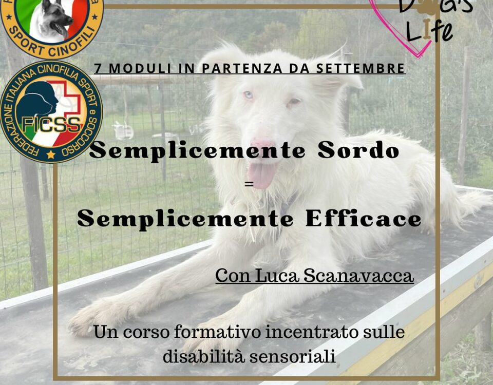 Semplicemente Sordo = Semplicemente Efficace di Luca Scanavacca