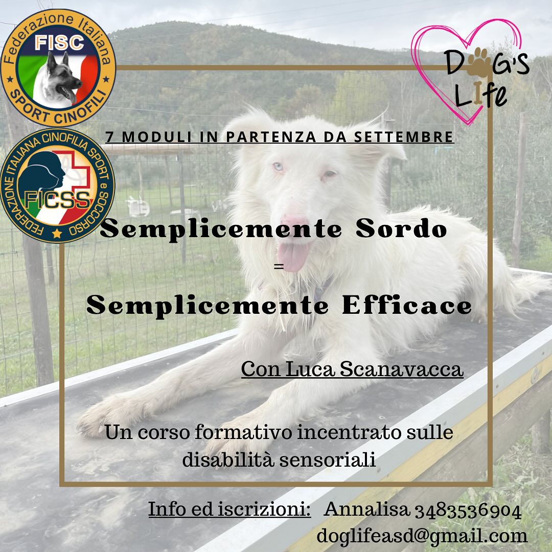 Semplicemente Sordo = Semplicemente Efficace di Luca Scanavacca